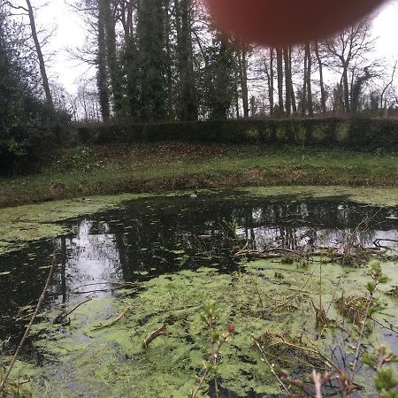 Le Colombier De Royaumont Villa Saint-Arnoult  Eksteriør bilde