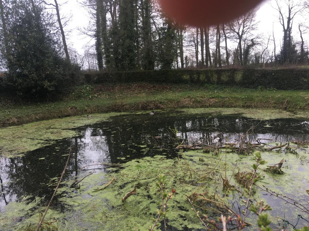 Le Colombier De Royaumont Villa Saint-Arnoult  Eksteriør bilde